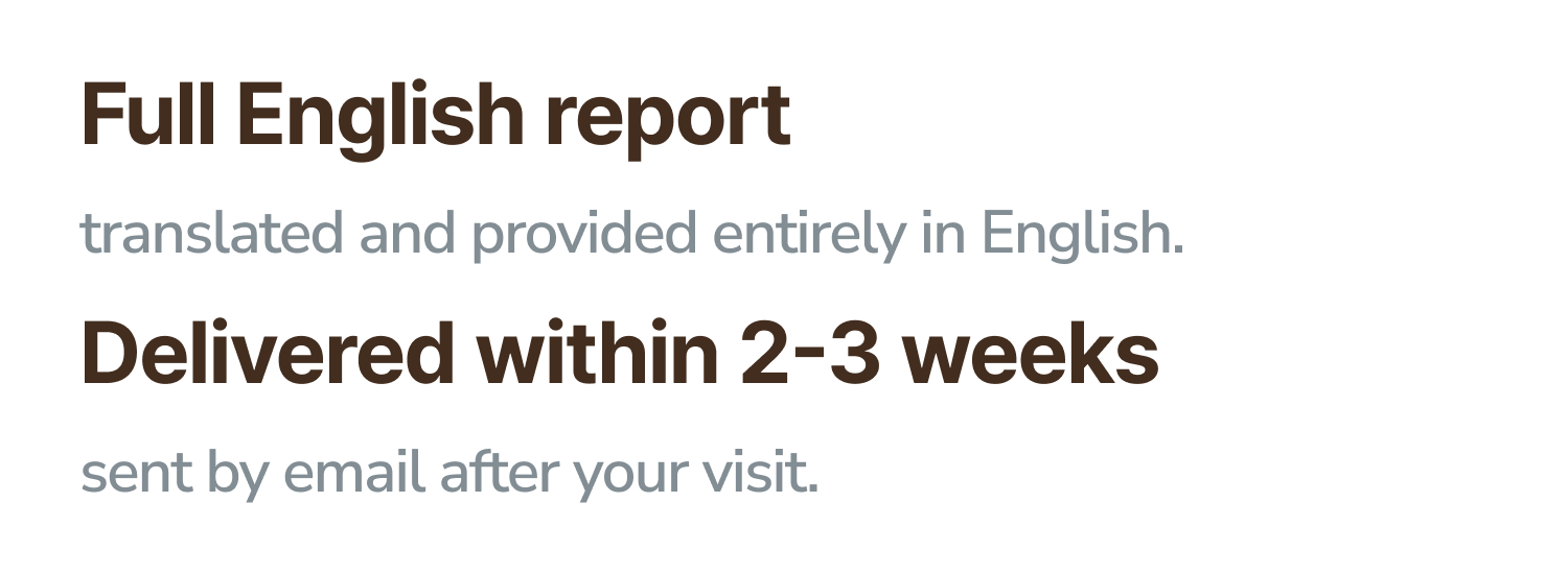 Full English report, translated and provided entirely in English. Delivered within 2 3 weeks, sent by email after your visit.